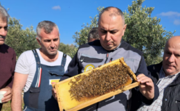 Ali Demir’den arı zehri müjdesi!