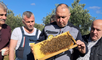 Ali Demir’den arı zehri müjdesi!