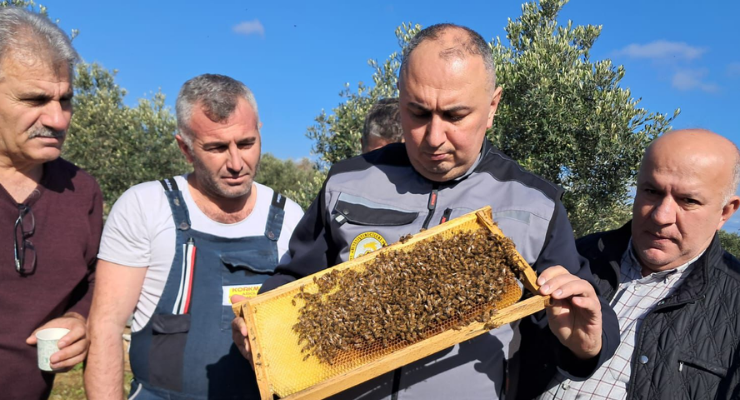 Ali Demir’den arı zehri müjdesi!