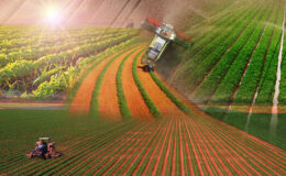 Türkiye “Dünya Gıda Üssü” olmaya hazır mı? Dev anket başladı