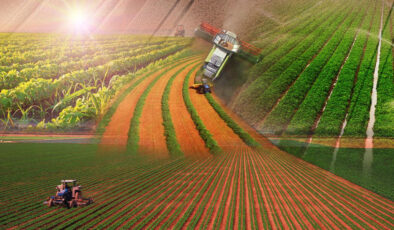 Türkiye “Dünya Gıda Üssü” olmaya hazır mı? Dev anket başladı