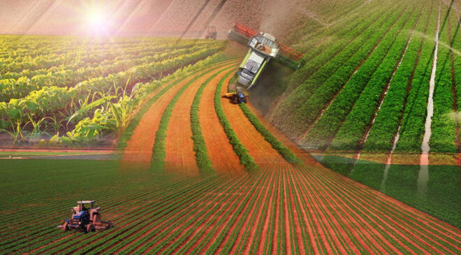 Türkiye “Dünya Gıda Üssü” olmaya hazır mı? Dev anket başladı