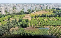 Tarım toprakları betonun altında can çekişiyor: Türkiye son 20 yılda koca bir Antalya’yı kaybetti!