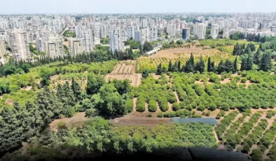 Tarım toprakları betonun altında can çekişiyor: Türkiye son 20 yılda koca bir Antalya’yı kaybetti!