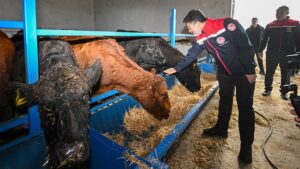 bakan yumakli hayvancilik a 2423935