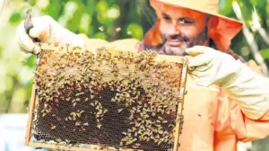 Gıda güvenliğinde standartlar yükseliyor 3 bal