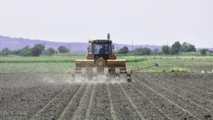 Çiftçiye 30 milyar liralık dev kalkan: Tarım kefalet programı başladı! 4 ciftci destek odemeleri sorgulama ekrani 2026 ocak e devlet tarimsal destek odemeleri 3277582 202601201553 2