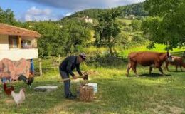 Türkiye’nin yeni nüfus haritası: Kentler doluyor köyler boşalıyor!