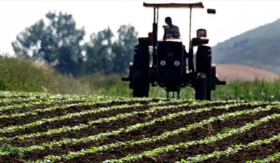 Gökyüzünden bereket yağdı tarımsal üretimde son on yılın rekoru kırıldı