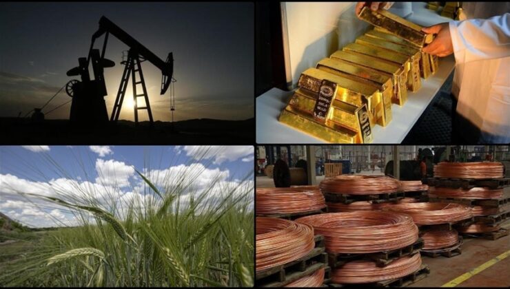 Emtia piyasasında rekorlar ocak ayına taşındı altın ve gümüş durdurulamıyor