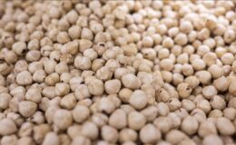 Karadeniz’den dünyaya çıkarma: İlk ayda 125 milyon dolarlık rekor sevkiyat!