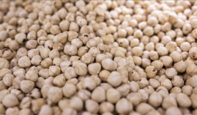 Karadeniz’den dünyaya çıkarma: İlk ayda 125 milyon dolarlık rekor sevkiyat!