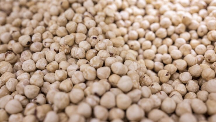 Karadeniz’den dünyaya çıkarma: İlk ayda 125 milyon dolarlık rekor sevkiyat!