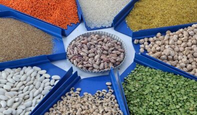 Mutfaktaki dev bütçe belli oldu ve ihracatta 27 milyar dolar aşıldı