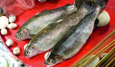 Türk somonu 11 ülkeye 32 milyon dolarlık satışla başladı