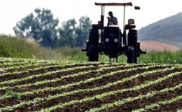 Çiftçilere 94 milyon liralık tarımsal destek