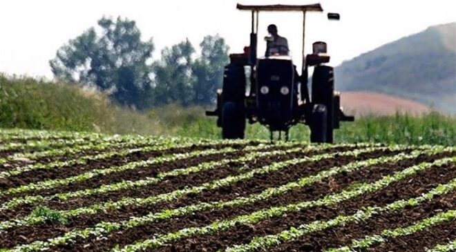 Çiftçilere 94 milyon liralık tarımsal destek