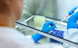 Bilimin zirvesindeki doktora tezleri TÜBA ve TEKNOFEST iş birliğiyle ödüllendiriliyor