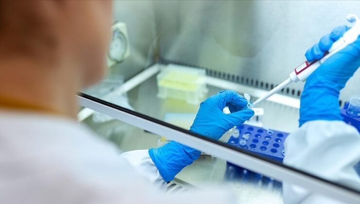 Bilimin zirvesindeki doktora tezleri TÜBA ve TEKNOFEST iş birliğiyle ödüllendiriliyor