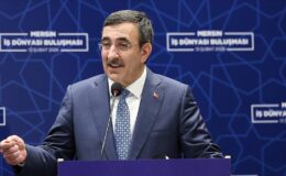 Cevdet Yılmaz’dan ‘Bıyık-Sakal’ benzetmeli ekonomi dersi: Türkiye orta gelir tuzağını nasıl kıracak?