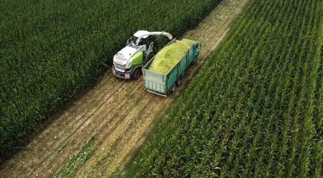 Tarım ÜFE ocakta aylık bazda yüzde 8,46 arttı