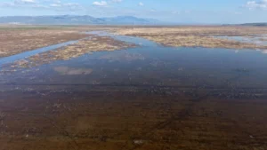 Marmara Gölü beş yıllık uykusundan uyandı kuruyan toprak yeniden suyla buluştu 3 umutlar kesilmisti 5 yil sonra dolmaya basladi simdi yeniden gol oluyor 1773026 20260224115917