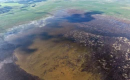 Marmara Gölü beş yıllık uykusundan uyandı kuruyan toprak yeniden suyla buluştu