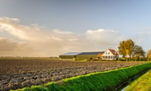 Tarım arazisinde yapılan kaçak yapıya toplam 4 milyar lira ceza kesildi! 4 000003410 211 1