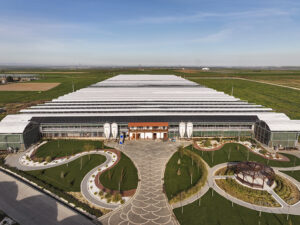 01.08 18 New folder 20260317 2 73446198 123281877