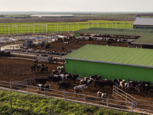 01.08 18 New folder 20260317 2 73446198 123281914