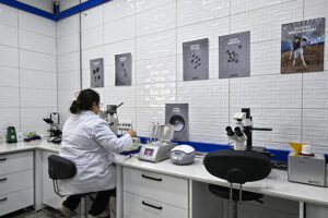 01.08 18 New folder 20260317 2 73446198 123281930