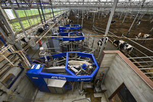 01.08 18 New folder 20260317 2 73446198 123281933