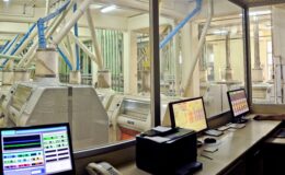 Tam buğday ekmeği dönemi kapıda: Pilot il Konya oldu