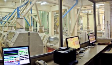 Tam buğday ekmeği dönemi kapıda: Pilot il Konya oldu