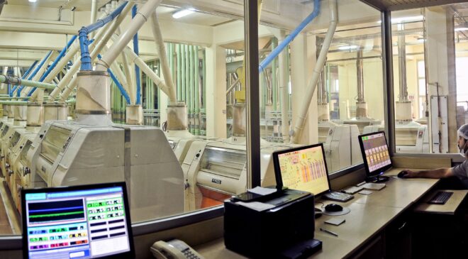 Tam buğday ekmeği dönemi kapıda: Pilot il Konya oldu