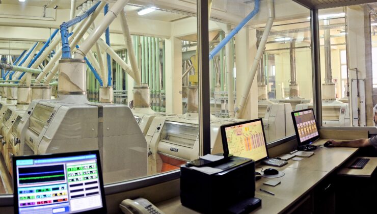 Tam buğday ekmeği dönemi kapıda: Pilot il Konya oldu