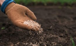 Hürmüz Boğazı krizi küresel gübre arzını vurdu: Gıda güvenliği için “Sistematik Şok” uyarısı