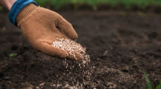 Hürmüz Boğazı krizi küresel gübre arzını vurdu: Gıda güvenliği için “Sistematik Şok” uyarısı...
