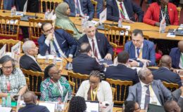 Türkiye’den Afrika yatırımları için tarihi hamle