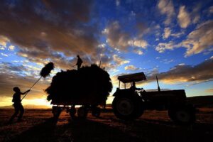 Kırsal kalkınmaya 241 milyon euro hibe desteği 3 681976 1496949954