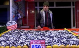 Ramazan sonu balık fiyatlarına indirim getirdi