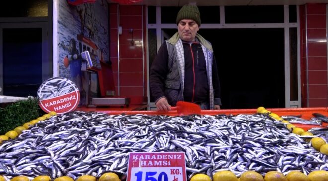Ramazan sonu balık fiyatlarına indirim getirdi