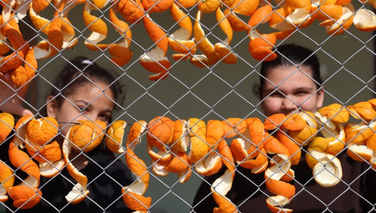 Adana’da narenciye kabukları kadınların elinde servete dönüşüyor