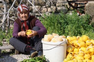 Adana’da narenciye kabukları kadınların elinde servete dönüşüyor 5 AW666032 02