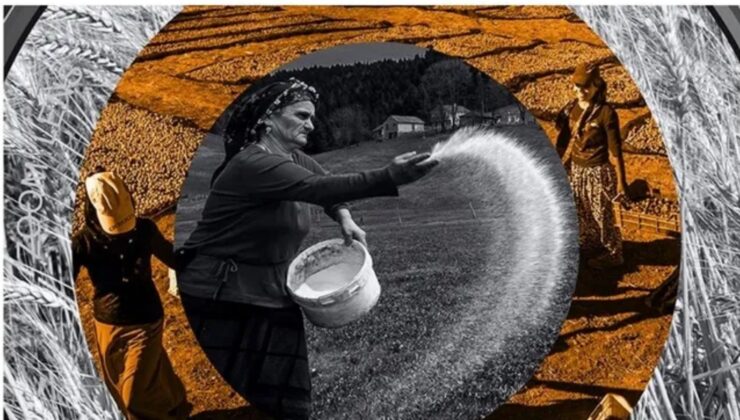 Kadınlar tarıma damga vurdu