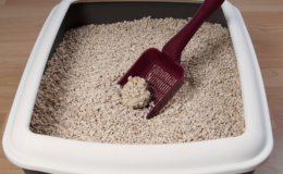 Türkiye’nin madeni nasıl dünya markası oldu?