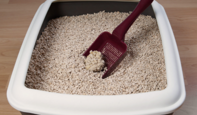 Türkiye’nin madeni nasıl dünya markası oldu?