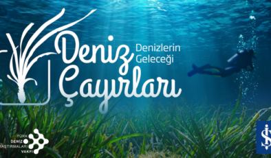 Dünyanın “Gizli Akciğerleri” sinyal veriyor! Her 30 dakikada bir futbol sahası yok oluyor!