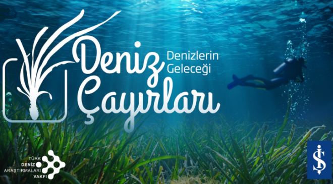 Dünyanın “Gizli Akciğerleri” sinyal veriyor! Her 30 dakikada bir futbol sahası yok oluyor!