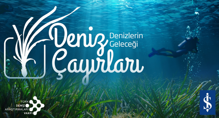 Dünyanın “Gizli Akciğerleri” sinyal veriyor! Her 30 dakikada bir futbol sahası yok oluyor!